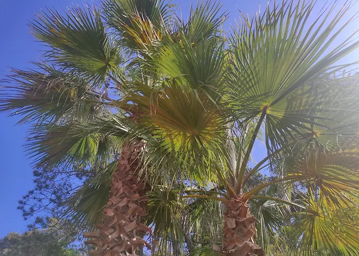 Willa Marimuntanya *