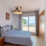 Marimuntanya *