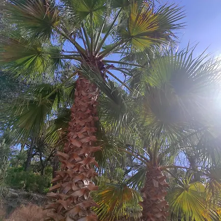 Marimuntanya Lloret de Mar