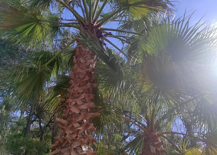 Marimuntanya Lloret de Mar