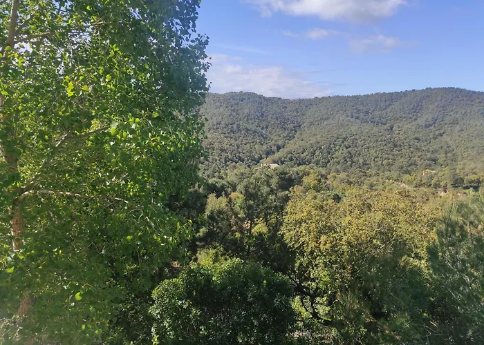 Marimuntanya * Lloret de Mar