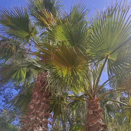 Willa Marimuntanya *